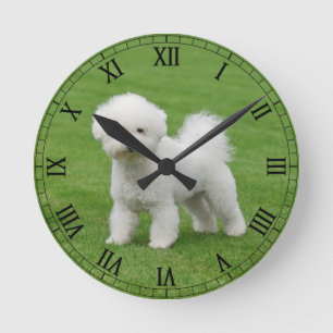 Bichon Frise Round Clock