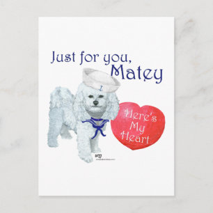 Bichon Frise Sailor Valentine Holiday Postcard