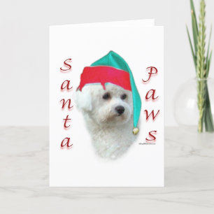 Bichon Frise Santa Paws Holiday Card