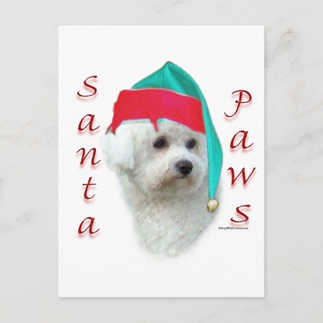 Bichon Frise Santa Paws Holiday Postcard (Front)