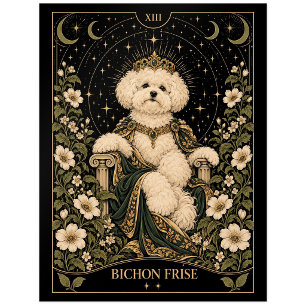 Bichon Frise, Starlit Tarot Art Postcard