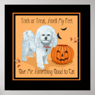Bichon Frise Trick or Treat Poster