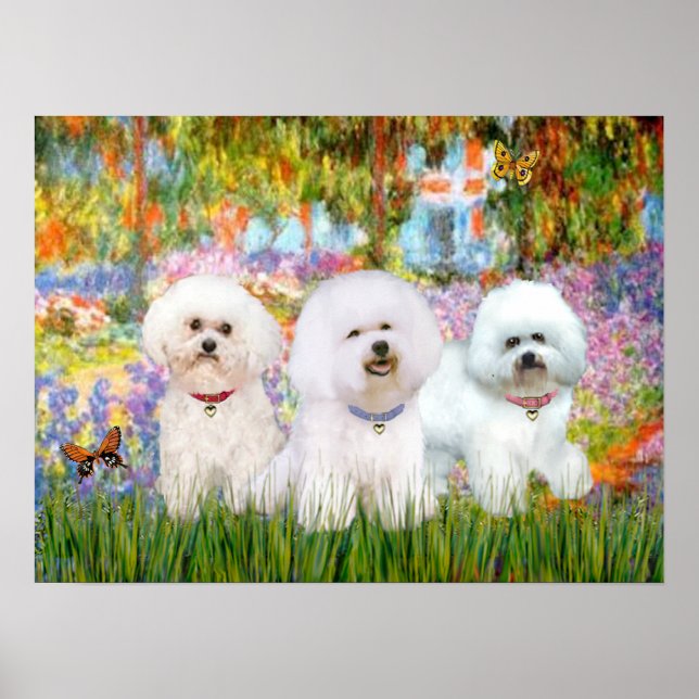 Bichon Frise Trio - Garden (VG) Poster (Front)