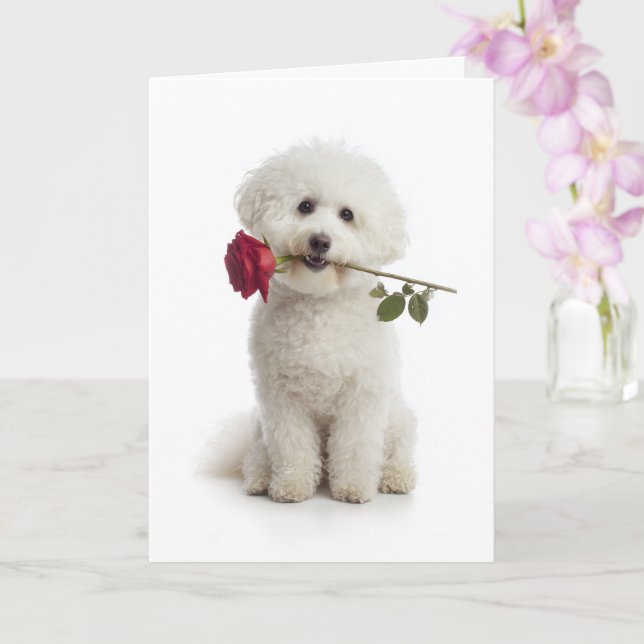 Bichon Frise Valentine – Sweet Devotion Card (Orchid)