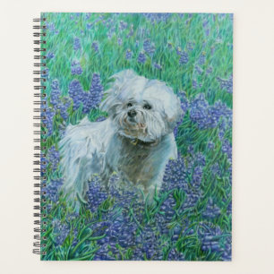 Bichon in Bluebonnets Greeting Card Planner