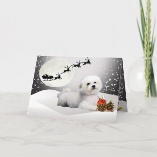 Bichon laying in snow with Santa Over Head Holiday Card