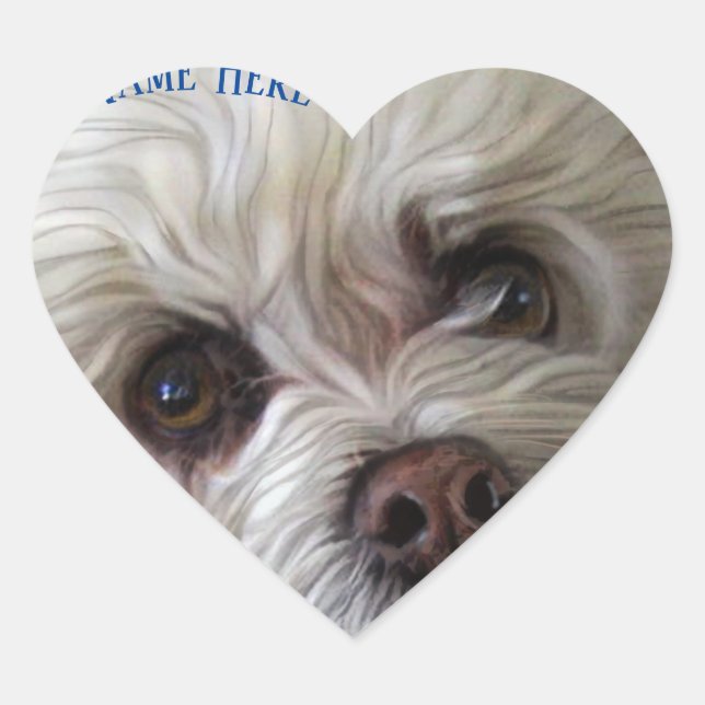 Bichon Poodle Maltese PeekaBoo Sticker (Front)