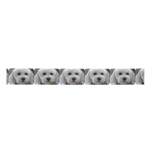 bichon poodle satin ribbon (Front)