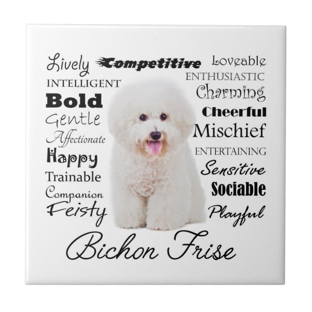 Bichon Traits Tile (Front)