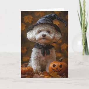 Bichon Witch Halloween Holiday Card