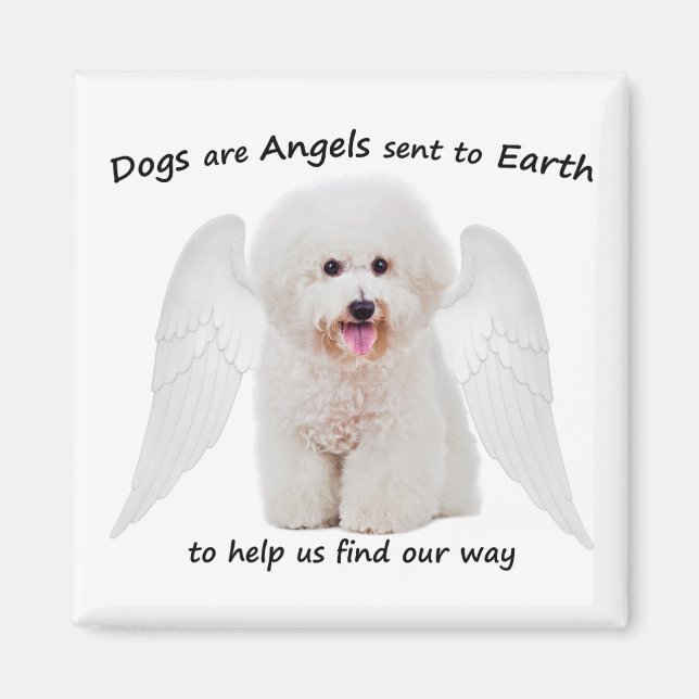 Bichons are Angels Magnet (Front)