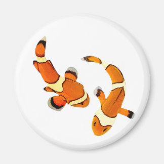 Bickering Clownfish Magnet