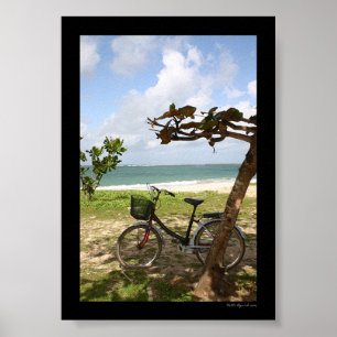 Bicycle Against Tree Poster
