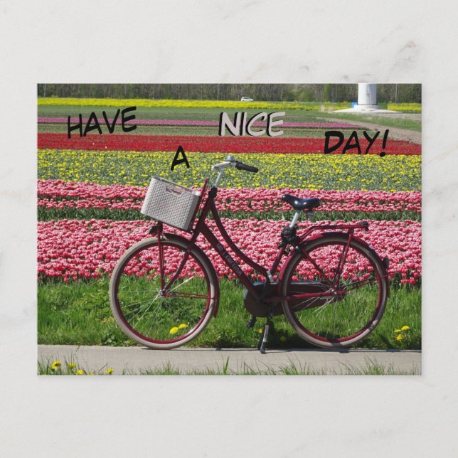 Bicycle at Tulips Field Have a Nice Day Postcard (Front)