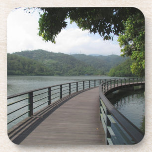 Bicycle Bridge Over Water Coaster