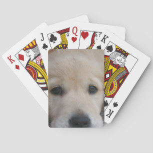 Bicycle Card Template - Customised