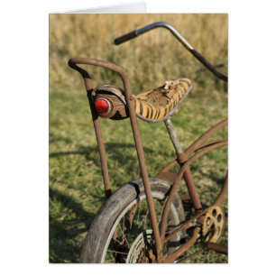 Bicycle Cycle Bicycling Cycling Banana Cruiser