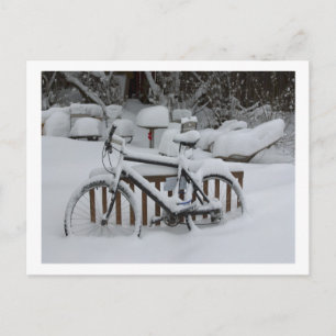 Bicycle Cycle Bicycling Cycling Waiting For Spring Postcard