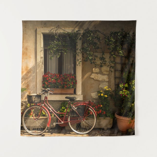 BICYCLE LEANING ON HOUSE TAPESTRY (Front)