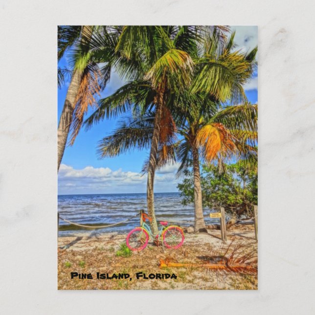 Bicycle on the beach - Pine Island Florida Postcard (Front)