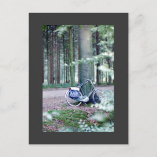 Bicycle Resting Postcard