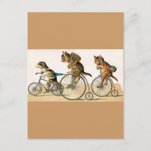 Bicycle Ride Postcard