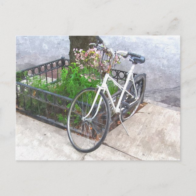 BICYCLE WITH BASKET OF FLOWERS POSTCARD (Front)