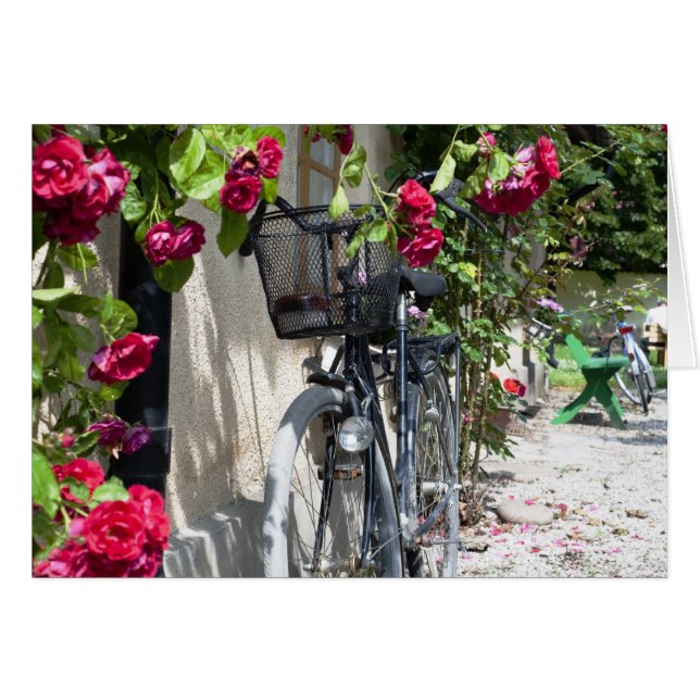 Bicycles and roses in Sweden (Front Horizontal)