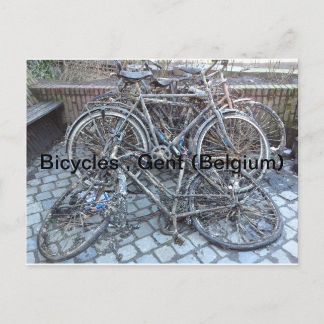 Bicycles, Ghent (Belgium) Postcard (Front)