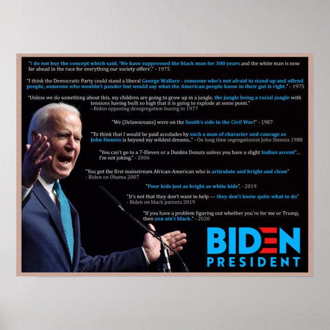 Biden 2020 Quotes on Race Poster (Front)