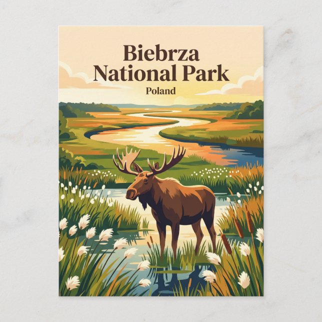 Biebrza National Park Poland Postcard (Front)