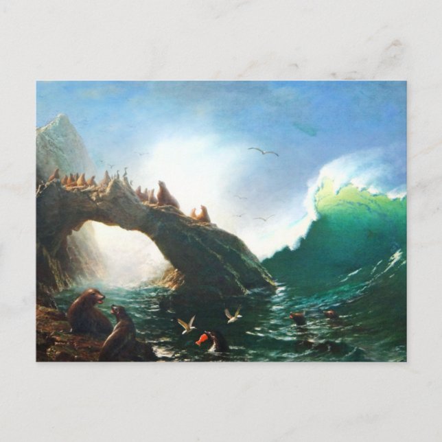 Bierstadt San Francisco Seals Postcard (Front)