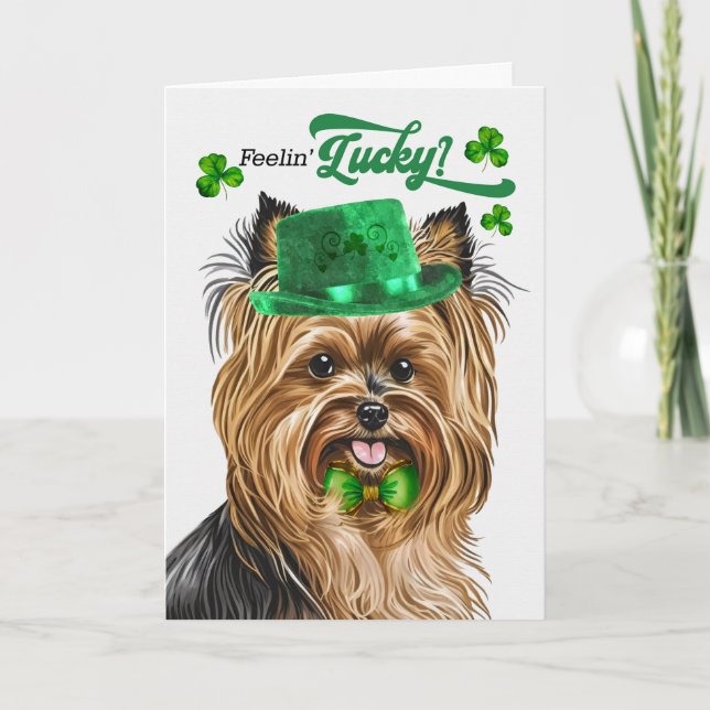 Biewer Terrier Dog Lucky St Patrick's Day Holiday Card (Front)