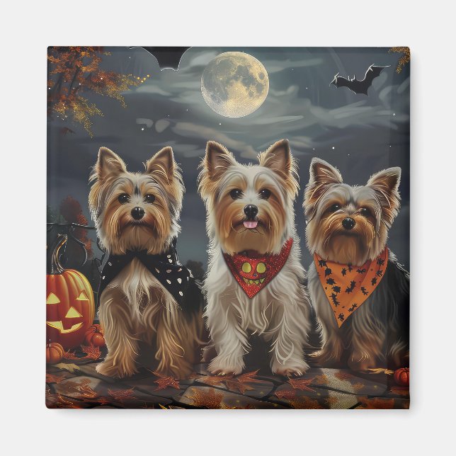 Biewer Terrier Halloween Spooky  Magnet (Front)