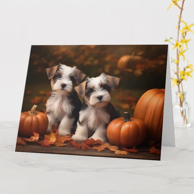 Biewer Terrier Puppy Autumn Delight Pumpkin  Card (Yellow Flower)