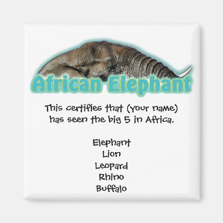 Big 5 Africa wildlife safari magnets