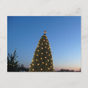 Big and Little Christmas Trees I Holiday Postcard