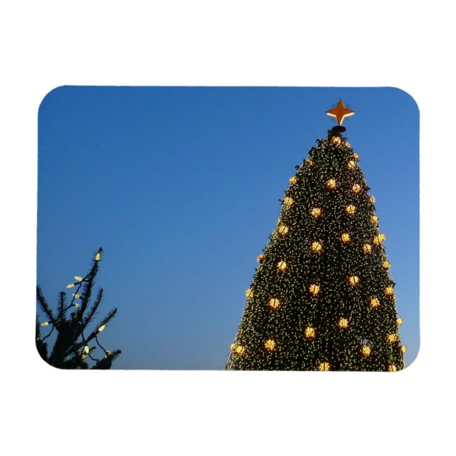 Big and Little Christmas Trees I Holiday Sunset Magnet (Horizontal)