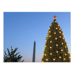Big and Little Christmas Trees II Holiday in DC Photo Print