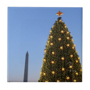 Big and Little Christmas Trees II Holiday in DC Tile