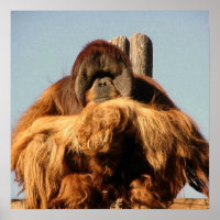 Big Ape Poster