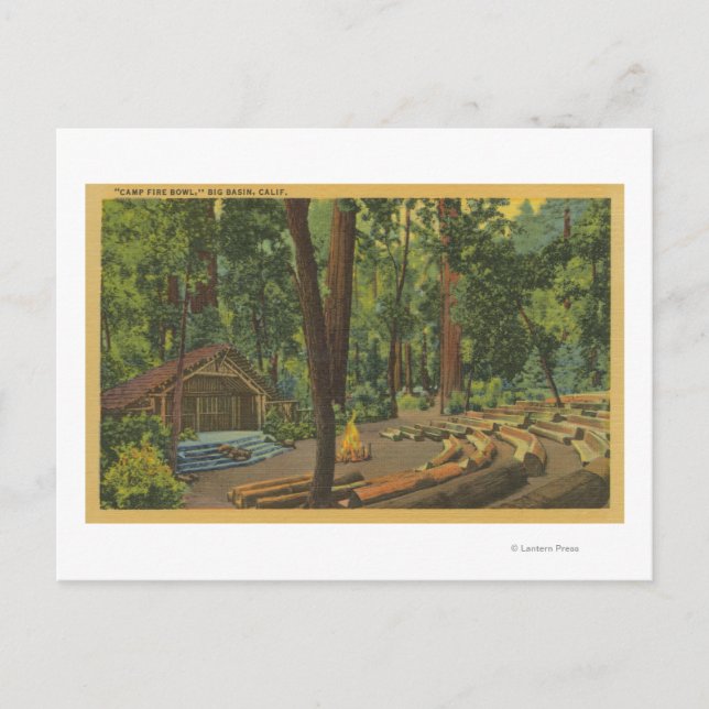 Big Basin, California "Camp Fire Bowl" View Postcard (Front)