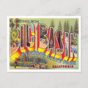 Big Basin, California Vintage Big Letters Postcard