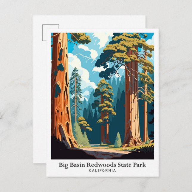 Big Basin Redwoods State Park Travel Illustration Postcard (Front/Back)