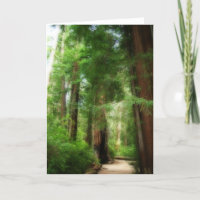 Big Basin Redwoods