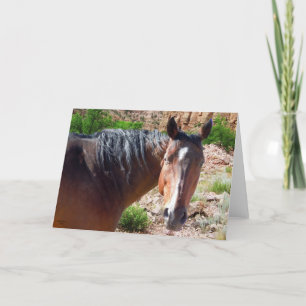 Big Bay American Quarter Horse - Blank Inside Card