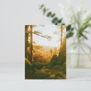 Big Bear Lake - California Postcard