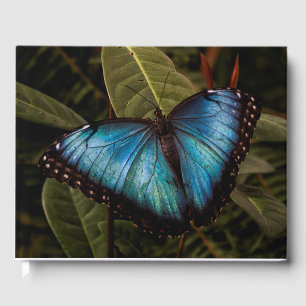 Big, beautiful, blue,  butterfly guest book