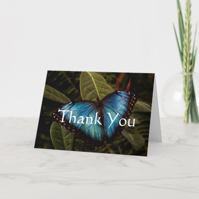 Big, beautiful, blue butterfly thank you card (Front)
