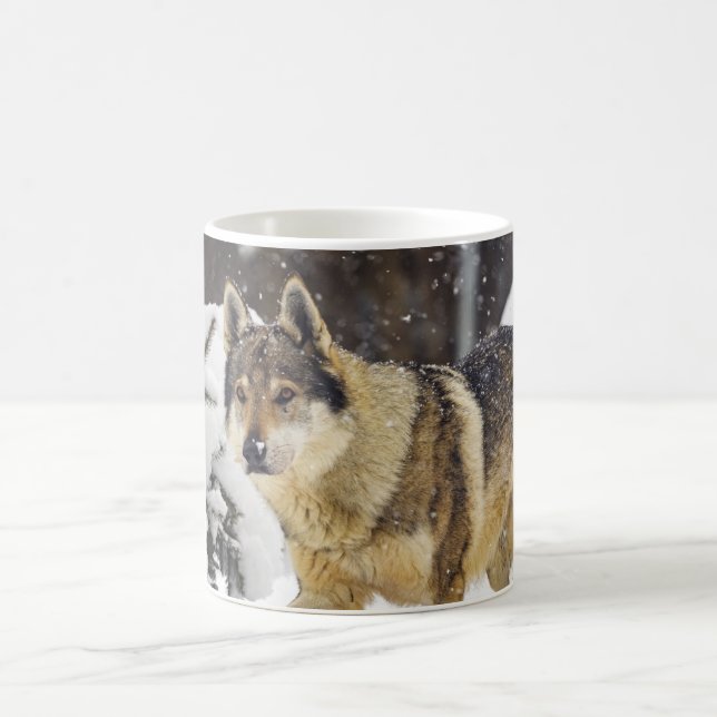 Big Beautiful Grey Wild Wolf in snow Coffee Mug (Center)